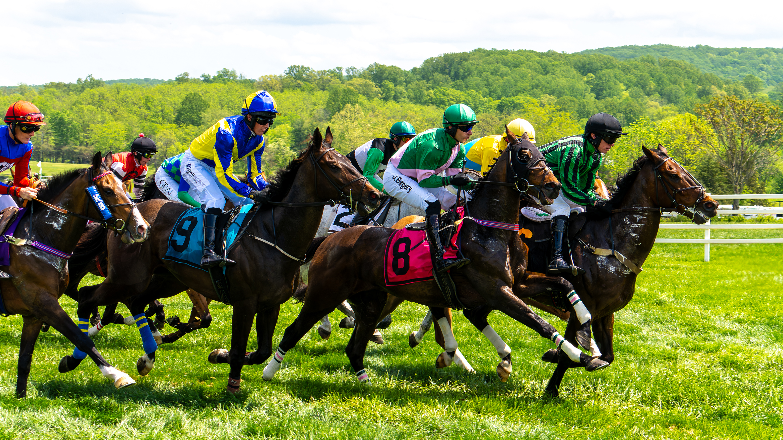Racing Horses